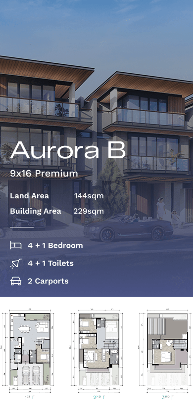Aurora B - 9X16 Premium