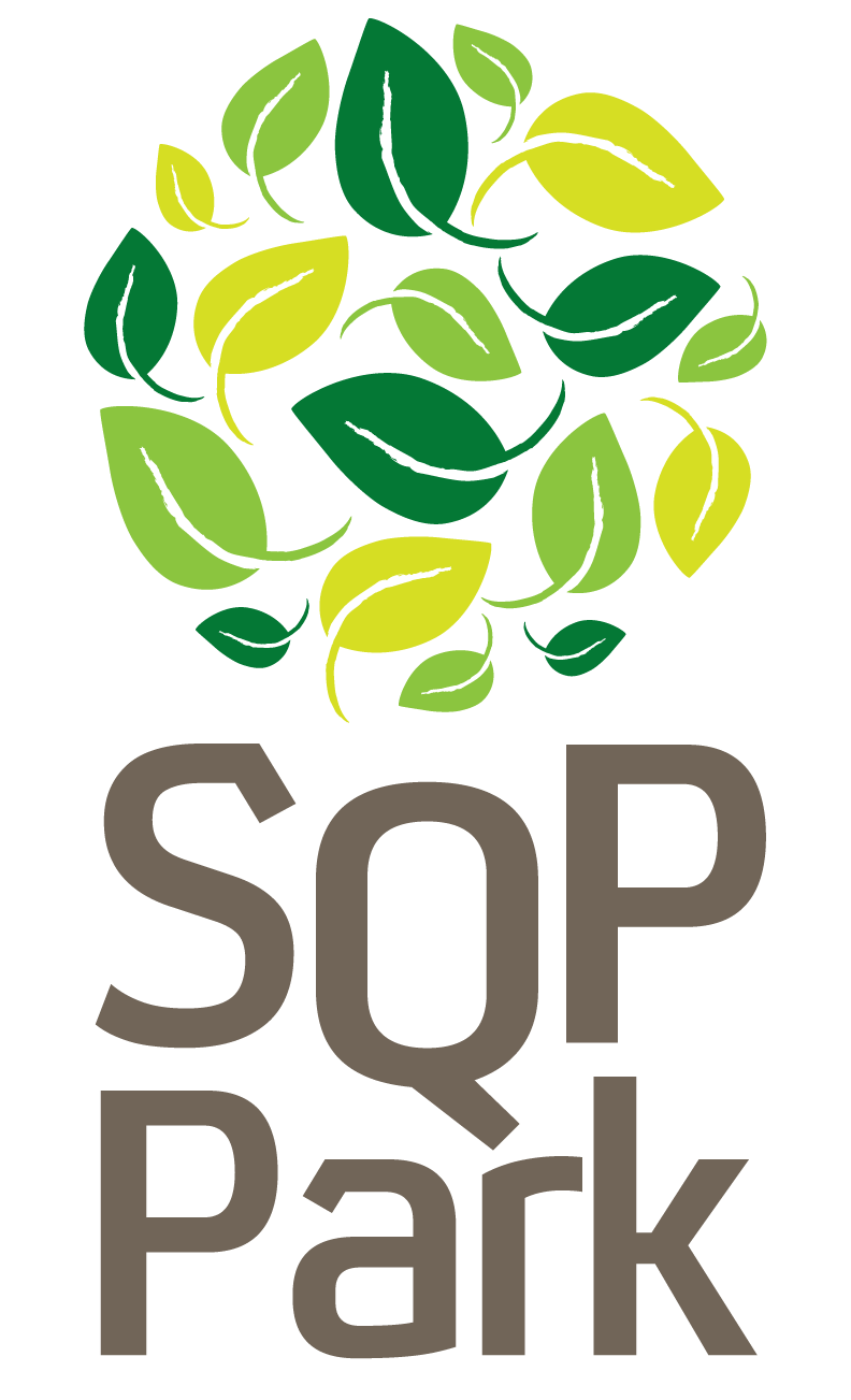 Scientia Square Park